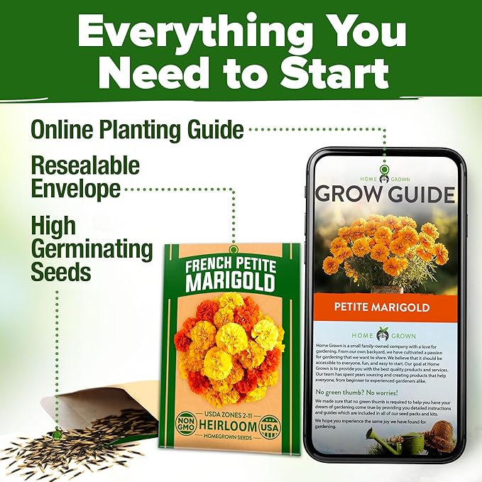 HOME GROWN Petite French Marigold Seeds 329+ Flower Seeds for Planting Outdoors Easy to Grow Companion Plant & Quick Blooming Pollinator Heirloom Wildflower Seed (Tagetes patula)