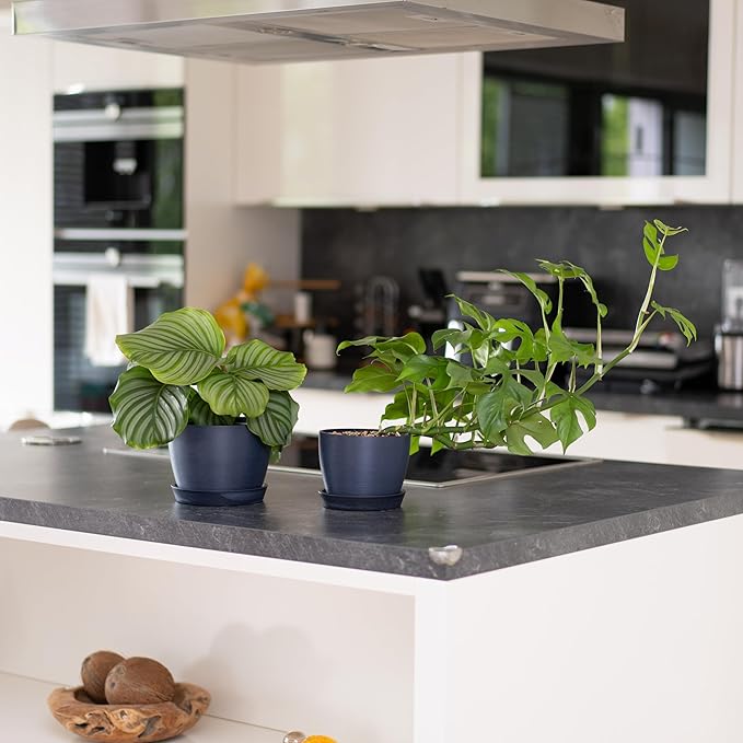 UNBREAKABLE Plant Pots Set of 2, Advanced Eco-Poly Planters with Drainage & Saucers, 6.5" + 5.5" Plastic Pots - Designer Indoor & Outdoor Décor and a Great Gift for Plant Lovers - Pacifica Wave Blue