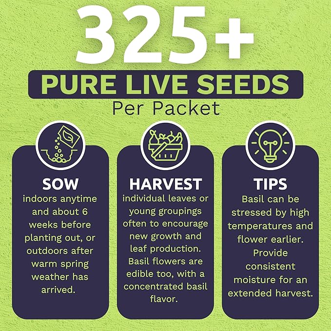 Organic Thai Basil Seeds – Seed Packet of Over 650 Open Pollinated Non-GMO Seeds – Sweet Yards Seed Co.
