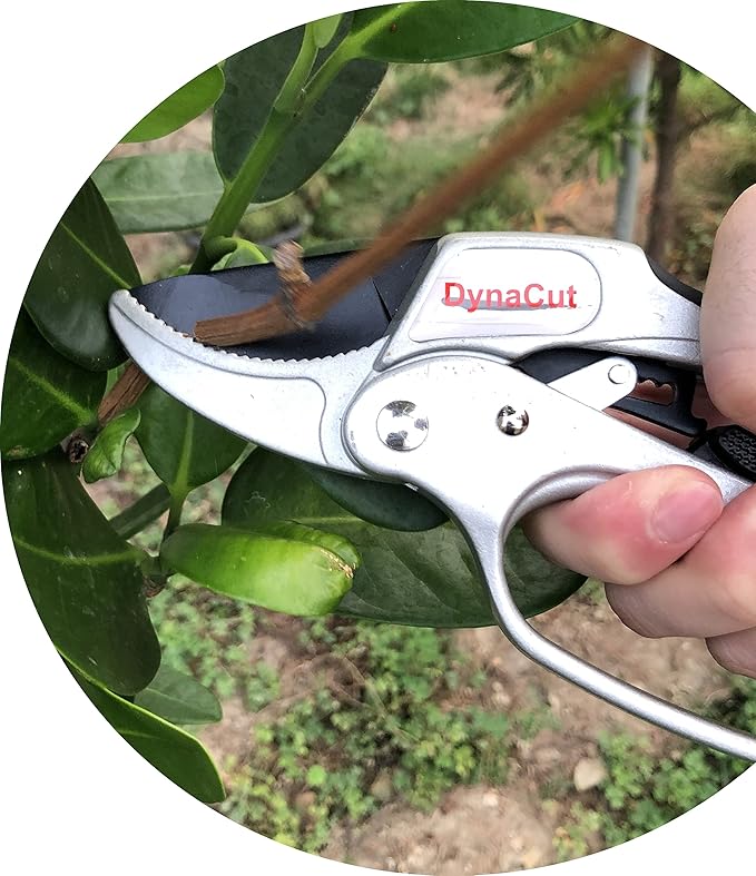 Ratcheting Pruning Shears Gardening Heavy Duty 8'', Professional Ratchet Pruning Scissors Cutter Anvil Clippers - Tree Trimmers Up To 20mm Cutting Capacity, Soft Non-Slip Grip Reduce Hand Fatigue
