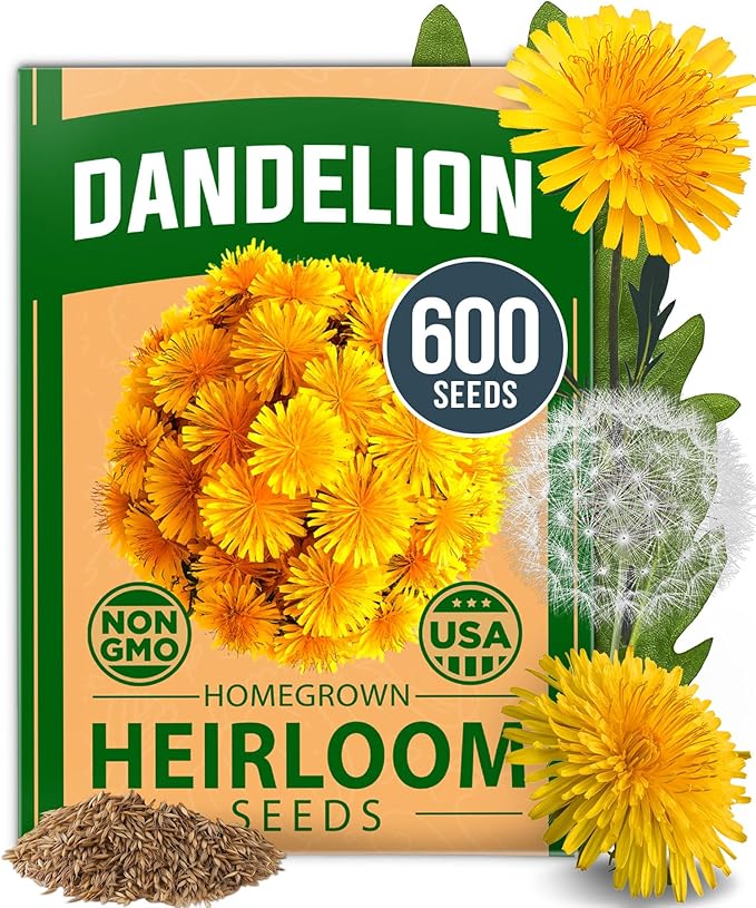 HOME GROWN Dandelion Seeds for Planting – 600 Heirloom Medicinal Herb Seeds (~0.3g) Grow Edible Leaves and Flowers for Remedies or Wildlife (Taraxacum officinale)