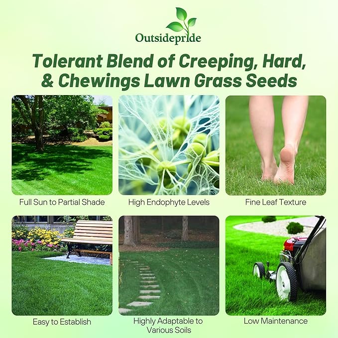 Outsidepride Legacy Fine Fescue Grass Seed Mix - 10 lbs. Shade & Sun Tolerant Blend of Hard Fescue, Chewings Fescue & Creeping Red Fescue with OptiGrowth Coating for Better Establishment