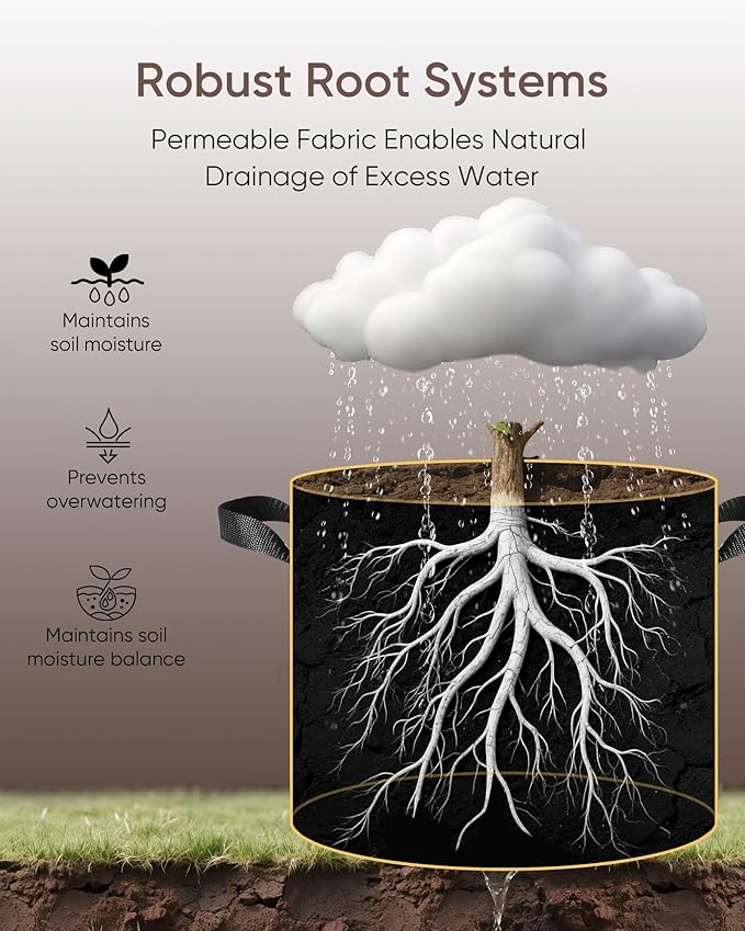 The Growing 5 Pack 20 Gallon Fabric Grow Bags，Thickened Aeration Nonwoven Fabric Plant Pots with Durable Handles,Heavy Duty 300G Planter Pot for Tomato, Fruits, Vegetables and Flowers, Black