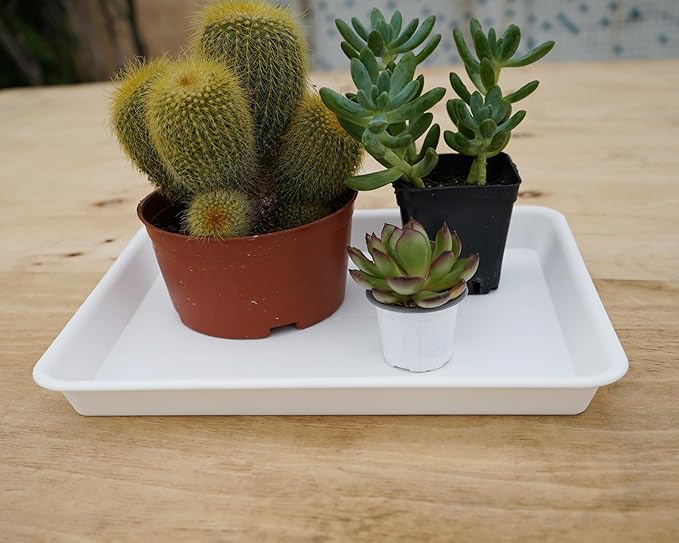 4 Pack Plant Growing Nursery 1020 Trays, Plant Saucer Tray, Heavy Sturdy Seed Starting Trays, Plant Starter Trays for Indoors No Holes, Seed Starter Growing Tray (22"x11.2", Creamy White)