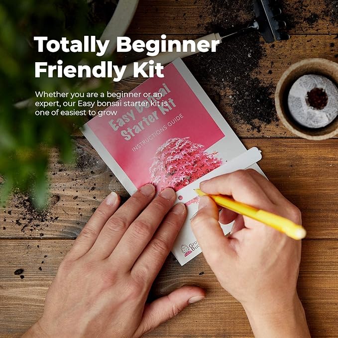Grow Your Own Bonsai Tree kit | Easily Grow 4 Types of Bonsai Tree with Our Complete Beginner Friendly Bonsai Starter kit | Bonzai Tree | Christmas Gift Set for Plant Lovers (Bonsai Kit)