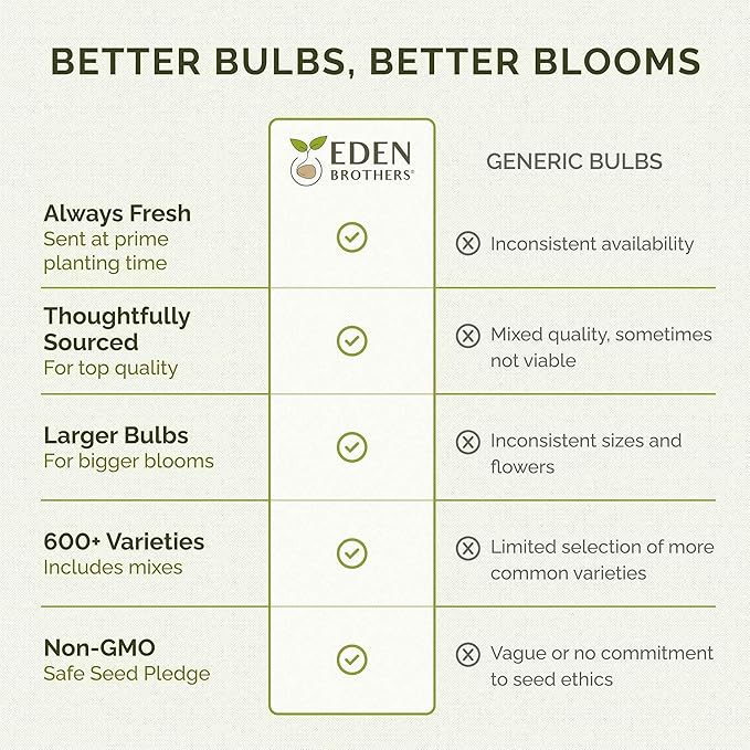 Eden Brothers Ranunculus Bulbs - Cafe