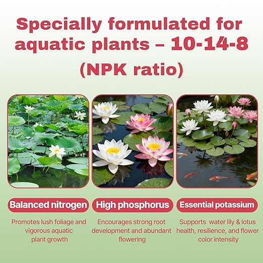Aquatic Plant Fertilizer for Water Lily and Lotus, Lotus Fertilizer-Fish Friendly, Water Lily Fertilizer Tablets- Supports Lily and Lotus Blooming & Root Growth, Aquarium Plant Food-100 Tablets