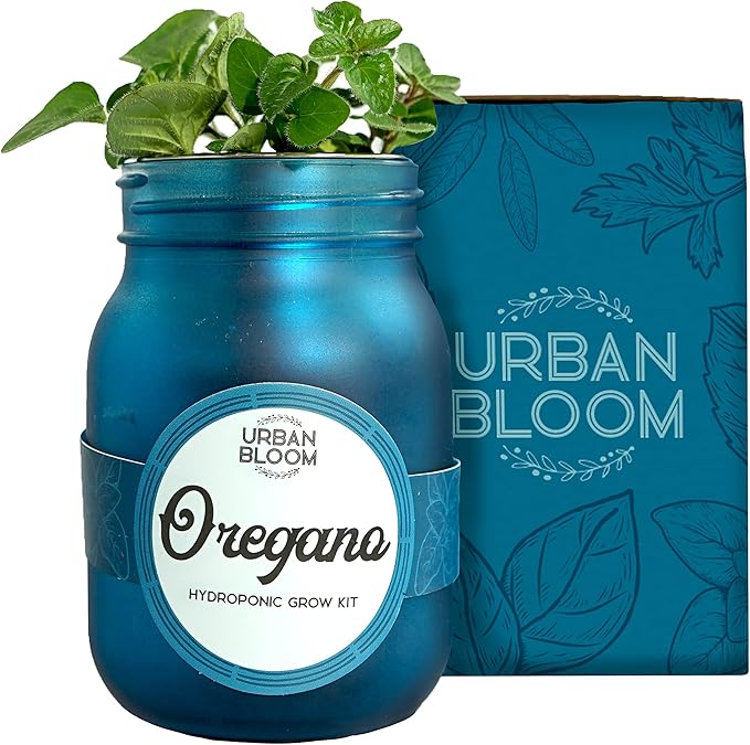 Hydroponic Herb Growing Kits - Fresh Oregano - Indoor Garden System in a Mason Jar - Herb Garden Kit for an Indoor Greenhouse - Indoor Plant Hydroponic Growing System w/Fresh Herb Seeds
