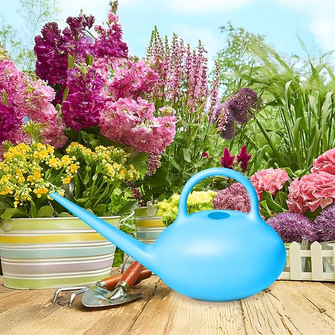 Plant Watering Can - for Indoor Plant Garden - 1/4 Gallon - Blue