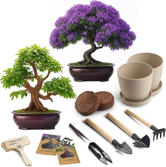Bonsai Starter Kit – 2X Bonsai Tree | Complete Indoor Starter Kit for Growing Bonsai Plants with Tools & Planters – Gardening Gifts for Women & Men