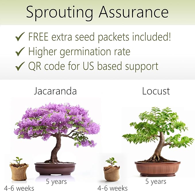 Bonsai Starter Kit – 2X Bonsai Tree | Complete Indoor Starter Kit for Growing Bonsai Plants with Tools & Planters – Gardening Gifts for Women & Men