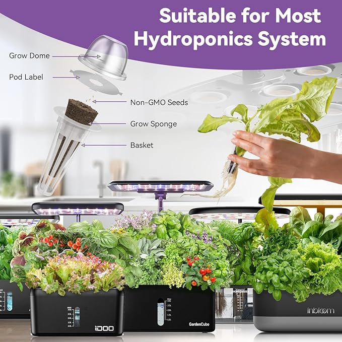 inbloom Salad Seed Pod Kit Compatible with AeroGarden, Ahopegarden, iDoo, MUFGA Hydroponics Growing System, 400+ Mixed Seeds with American Fast/Paris Island/Buttercrunch/Romaine Lettuce (12-Pod)