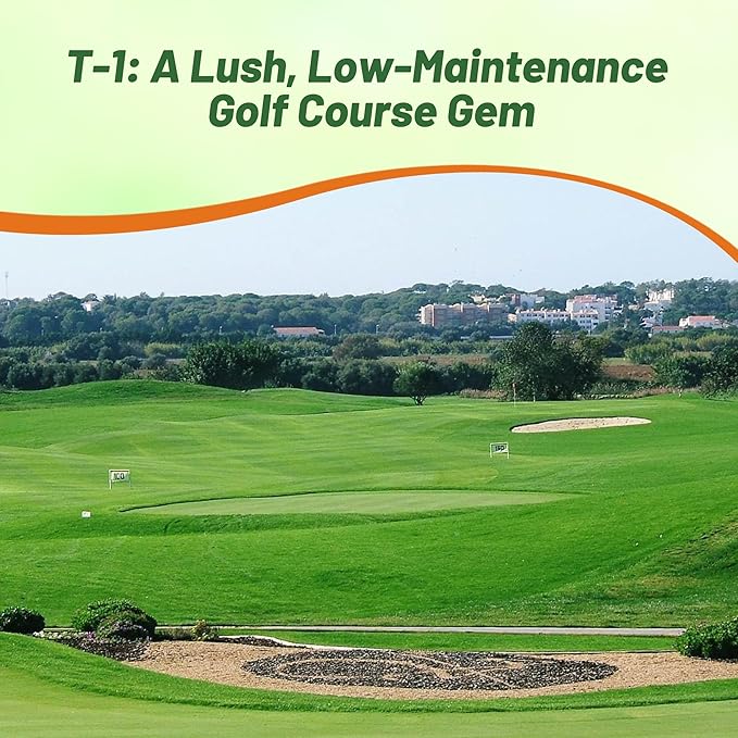 Outsidepride T-1 Creeping Bentgrass Seed - 1 lbs Fine-Bladed, Premium Quality Turf, Grass Seed for Smooth Surface, & High-Traffic Areas, Ideal Grass for Golf Courses Putting Greens, & Fairways