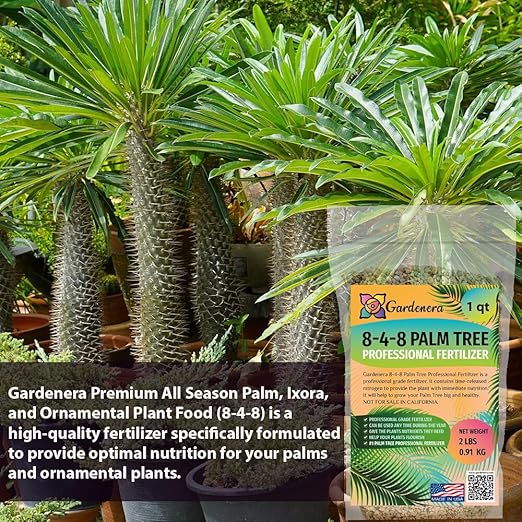 Premium 8-4-8 Professional Palm Tree Fertilizer Plant Food |Indoor Potted Plants and Outdoor Landscape Palm Trees | Quick-Release Nitrogen Fertilizer and Continuous Feeding (1 Quart)