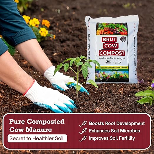 Brut Cow Compost – Nutrient-Rich Composted Cow Manure Organic Soil Amendment – 100% Pure Compost, Additive-Free Fertilizer for Vegetable Gardens, Flowers, Lawns & Indoor Plants – 30 Quart