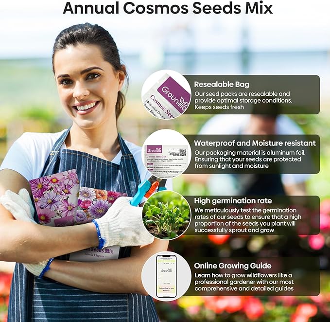 Cosmos Seeds Wildflower Mix, 1 Oz, 7 Varieties Flowers Seeds for Planting (Daydream, Gloria, Picotee, Purity, Radiance, Pinkie, Sulphur)