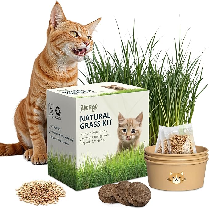 Cat Grass Kit for Indoor Cats – x3 Seed Packets | Cat Grass Seeds with Recyclable Planter & Coconut Coir Expanding Soil Discs – Wheatgrass Grass