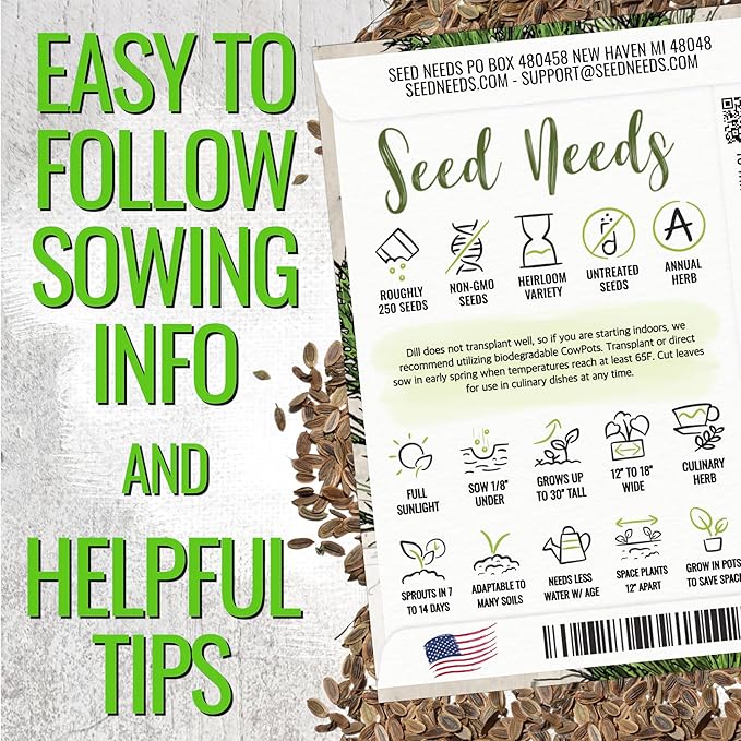 Seed Needs Dill Seeds for Planting Bouquet Herbs - Non-GMO Heirloom & Untreated Herb Seed to Plant a Home Grown Indoor / Outdoor Garden (2 Packs)