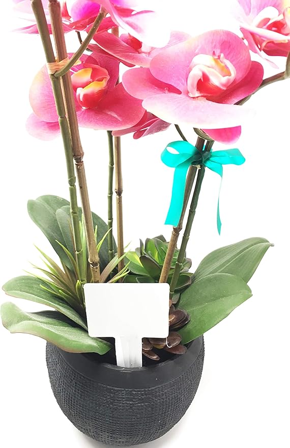 50 Pcs T-Type 5 Inch Thick Plastic Plant Nursery Garden Labels Pot Marker Stake Tags White Large 2.62" by 2.25" Head Waterproof Plant Labels