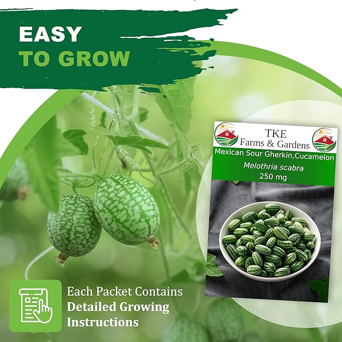 TKE Farms & Gardens - Cucamelon Seeds for Planting, 75 Heirloom Non GMO Seeds, Mexican Sour Gherkin Mouse Melon, Delicious Mini Fruits, Easy to Grow, Includes Instructions, Rare Garden Seeds, 1 Pack
