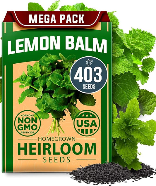 HOME GROWN Lemon Balm Seed Pack - 403 Non-GMO USA Heirloom Herbal Tea Seeds - Bulk Lemon Balm Seeds for Planting Gardens Indoors or Outdoors - Herb Seeds (Melissa officinalis)