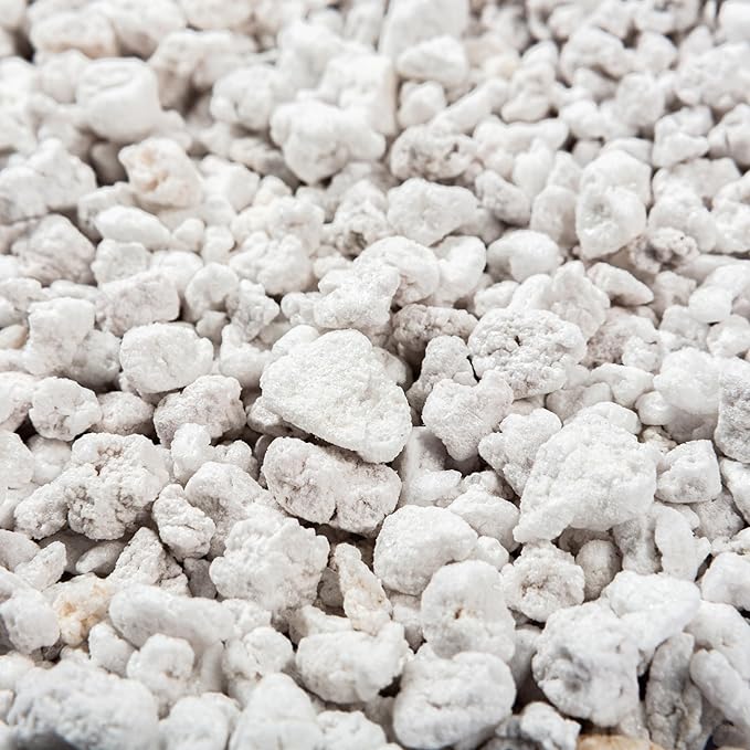 Perlite Bliss (1 Cubic Ft) - Organic Perlite for Plants - Coarse Perlite Bulk Soil Amendment - Chunky Perlite for Plants, Potting Soil, Garden Soil, & Coco Coir - Horticultural Perlite for Gardening