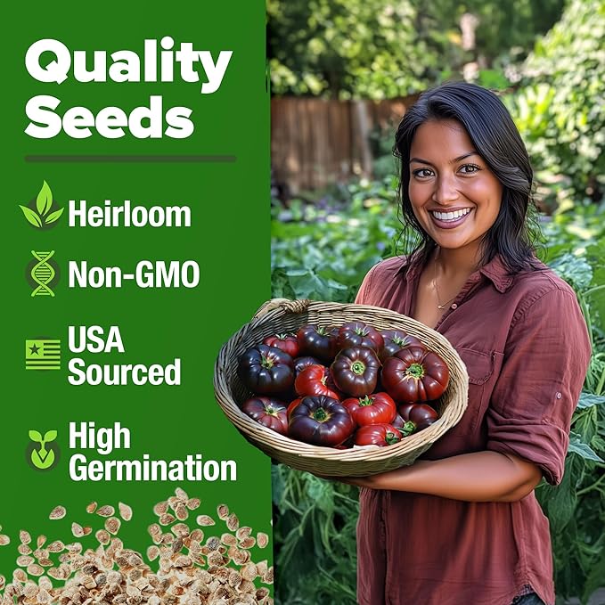 HOME GROWN Cherokee Purple Tomato Seeds 1 Pack (Solanum lycopersicum) - 106 Seeds, Non GMO Tomato for Planting - Heirloom Vegetable Seeds with High Germination Rate