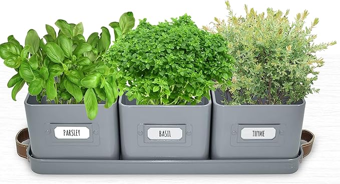 volila Herb Planter Indoor - Set of 3 Grey Indoor Herb Garden Pots for Plants with Leather Handled Tray - Window Sill Plant Shelf - Herb Pots with Drainage Holes and Labels