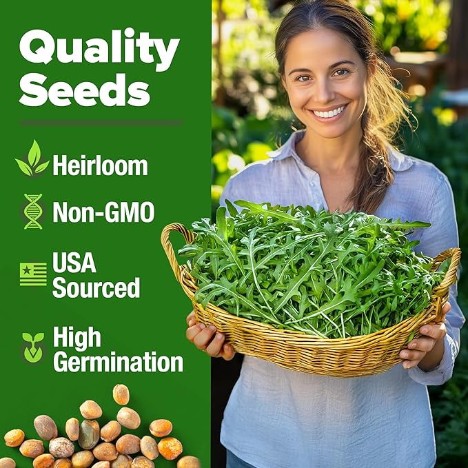 HOME GROWN Arugula Roquette Seeds Pack Non GMO 2,175 Heirloom Arugula Seeds for Planting Best for Outdoor Gardens,Providing Fast-Growing Greens for Salads - Eruca vesicaria