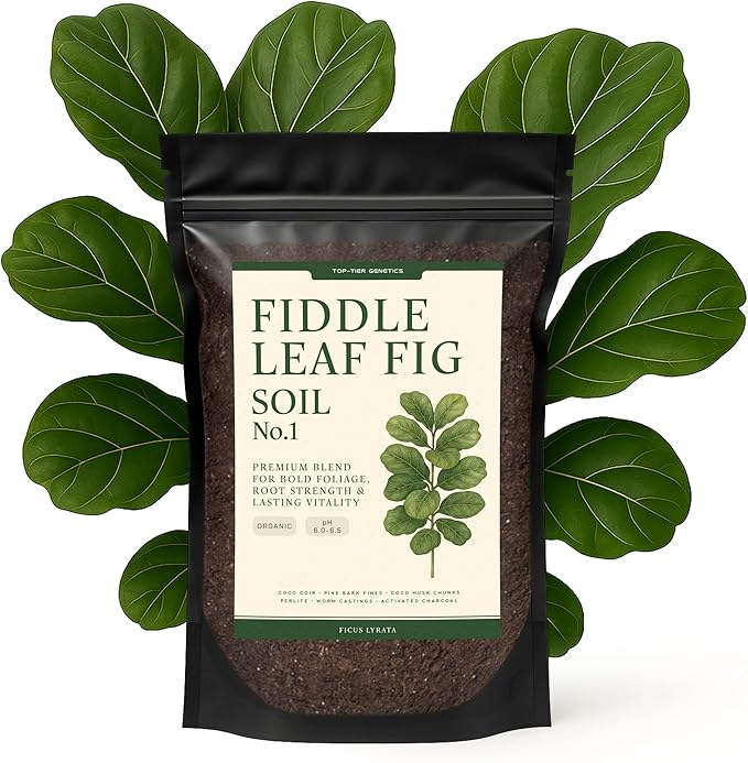 Premium Fiddle Leaf FIG Soil Mix – Nutrient-Rich, Organic Potting Soil for Ficus Lyrata – Promotes Healthy Roots, Lush Leaves & Balanced Moisture – Fast-Draining & Ready to Use (8 QTS)