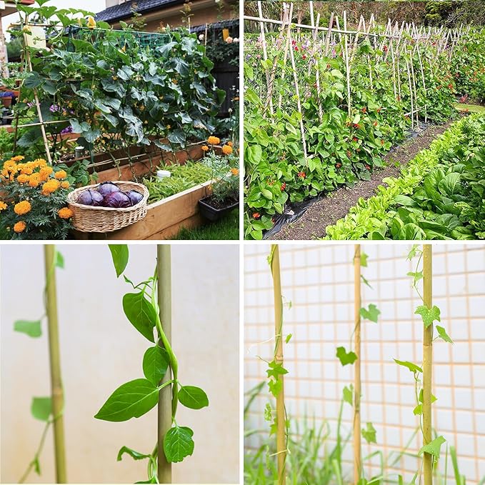Natural Bamboo Poles, 2 Feet Bamboo Sticks for Plants, Wood Garden Stakes for Tomato, Bean, Flowers, Trees Potted and Climbing Plants, 25 Pack