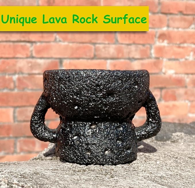 Air Plant Holders Unique, Lava Rock Air Plant Pot, Classy Black Plant Stand Container for Air Plants, Small Rock Pot (Black)