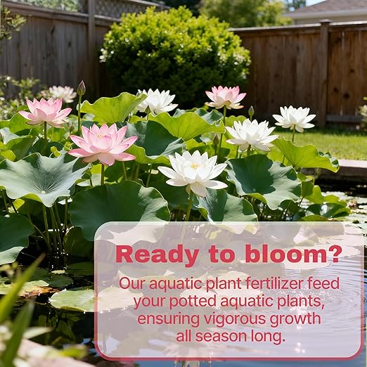 Aquatic Plant Fertilizer for Water Lily and Lotus, Lotus Fertilizer-Fish Friendly, Water Lily Fertilizer Tablets- Supports Lily and Lotus Blooming & Root Growth, Aquarium Plant Food-100 Tablets