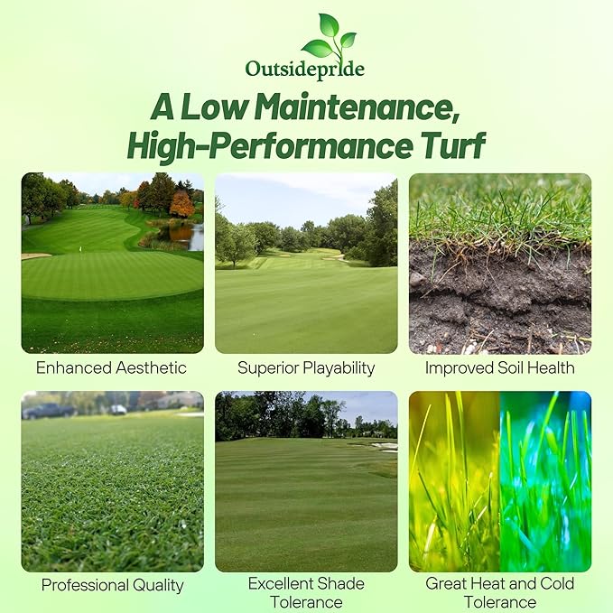 Outsidepride Crystal Bluelinks Creeping Bent Grass Seed - 1 lb. Dense Turf Grass for Golf Greens & Putting Surfaces, Fine-Textured, Tolerant to Close Mowing for Smooth, Consistent Lawn Coverage