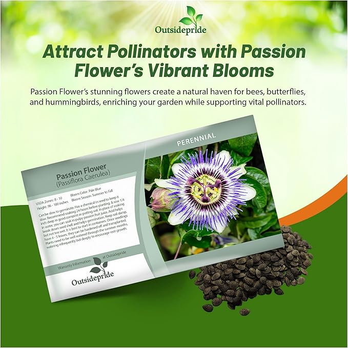 Outsidepride Passion Flower Seeds - 50 Pcs. Perennial, Fast-Growing & Pollinator Friendly, Flower Seeds for Planting Tall, Fragrant & Vibrant Star-Shaped Blooms for Trellises, Fences & Arbors