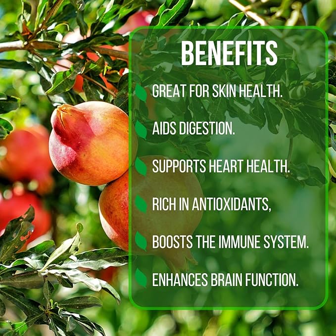 Pomegranate Salavatski Live for Sale (4 Pack) | Easy to Grow Plants | Edible Fruit Plant for Sustainable Living | Grow Your own Food on Your Edible Organic Garden| Live for Planting| 2 inch Pot