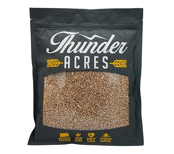 Non-GMO, Thunder Acres Premium Wheat Seed, Cat Grass Seed, Wheatgrass, Hard Red Winter Wheat (5 lbs.)