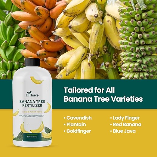 32oz Plant Food for Banana Trees Live Plants - Makes 32 Gallons of Banana Tree Fertilizer for Fruit Trees Live Plants - Promotes Lush Growth, Strong Roots, Abundant Harvest & Sweet Fruits