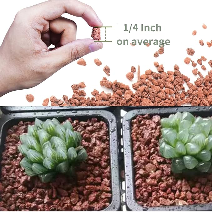 2.4LB Red Lava Rocks for Plants, Volcanic Rock Horticultural Lava Rock Soil for Landscaping Plants Drainage, Small Lava Rock Gravel for Succulents, Bonsai, Vase Fillers, Terrarium Plants, Top Dressing