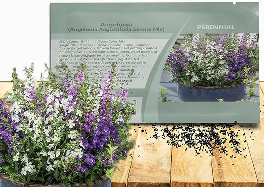 Outsidepride Serena Mix Angelonia Snapdragon Seeds for Planting - 20 Pcs Perennial Flower Seeds, Pollinator-Friendly, Heat, Humidity & Drought-Tolerant, Compact Growth Habit for Containers