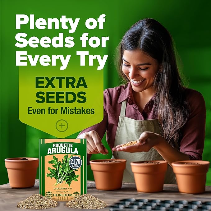 HOME GROWN Arugula Roquette Seeds Pack Non GMO 2,175 Heirloom Arugula Seeds for Planting Best for Outdoor Gardens,Providing Fast-Growing Greens for Salads - Eruca vesicaria