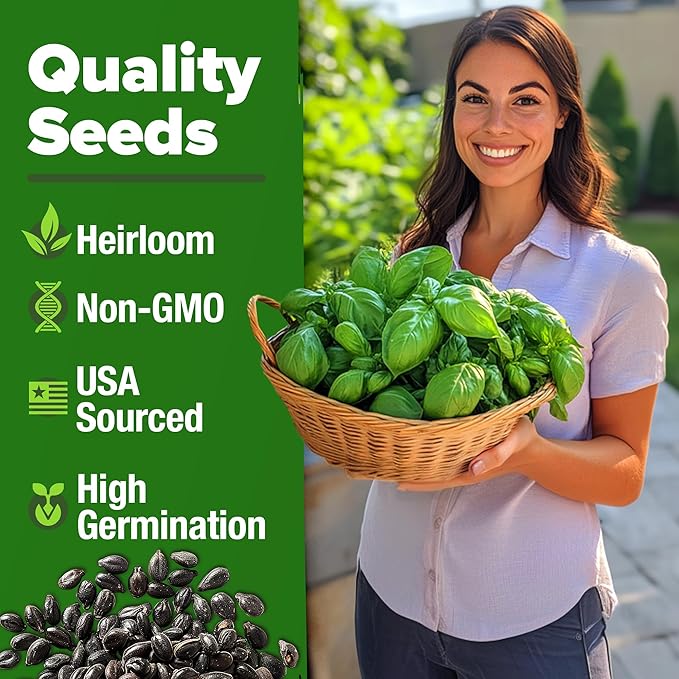 HOME GROWN Genovese Basil Seeds Pack 1,750+ High Germination Heirloom Seeds (Ocimum basilicum) Herb Seeds for Planting Indoor & Outdoor Gardening, for Culinary Use