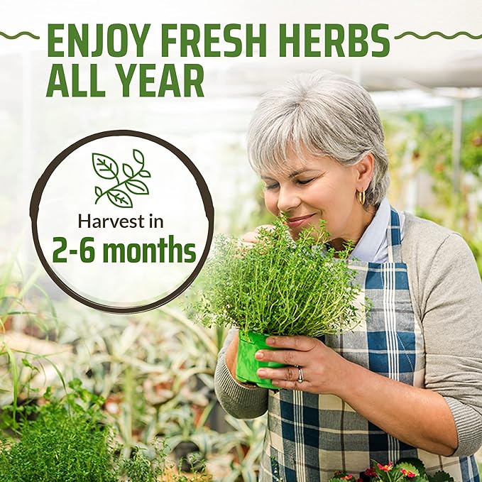 17 Herb Culinary Seed Vault – 5200+ Heirloom Seeds for Indoor/Outdoor or Hydroponic Gardens – High Germination | Cilantro, Mint, Chives, Basil, Parsley & More