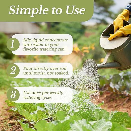 LEAVES AND SOUL Professional Liquid Corn Fertilizer | 5-1-5 Concentrate, Liquid Plant Fertilizer for Garden, Healthy Produce, Good Harvest, Multi-Purpose Blend & Gardening Supplies | 8 oz