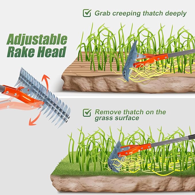 Walensee Thatch Rake, 15-Inch Lawn Thatching Rake, Robust Dethatcher Rake, Efficient Steel Metal Rake with Handle, Versatile Grass Grooming Rake for Cleaning Dead Grass, Yard Garden Durable Soil Rake