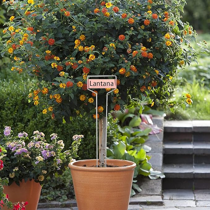 Wehhbtye 20 PCS 10 Inch Metal Plant Label Stakes-Copper Metal Plant Tags,High Copper Plate Plant Labels,Coppers Plant Tags with 1 Maker Pen for Flowers, Vegetables, Seedlings, Seed,etc