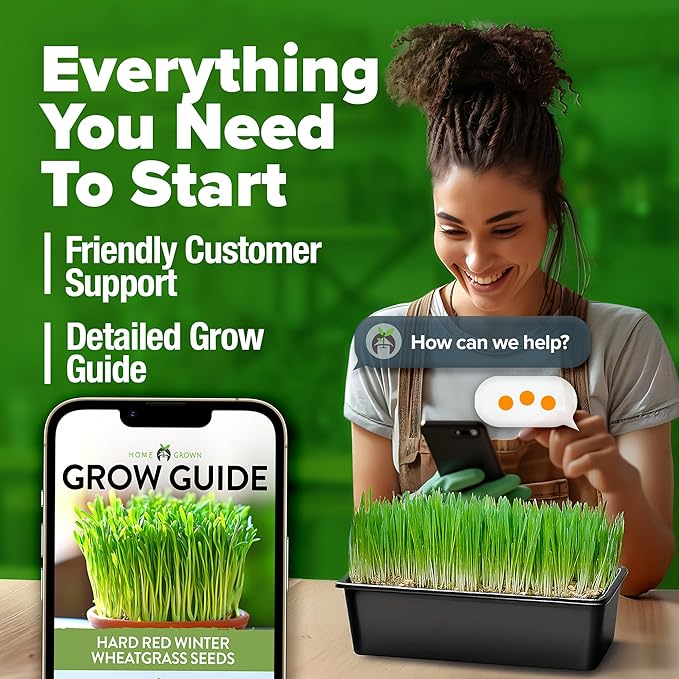 HOME GROWN 12,000+ Wheatgrass Seeds Bulk Pack(1.5 lb) Hard Red Winter Wheatgrass – Heirloom, Sprouting for Juicing, Microgreens, Smoothies & Indoor Gardening(Triticum aestivum)