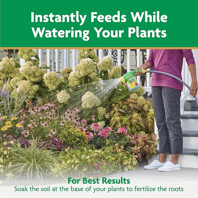 Miracle-Gro Water Soluble All Purpose Plant Food, Feed Flowers, Vegetables, Roses, Shrubs, and Houseplants, 5.5 lb.