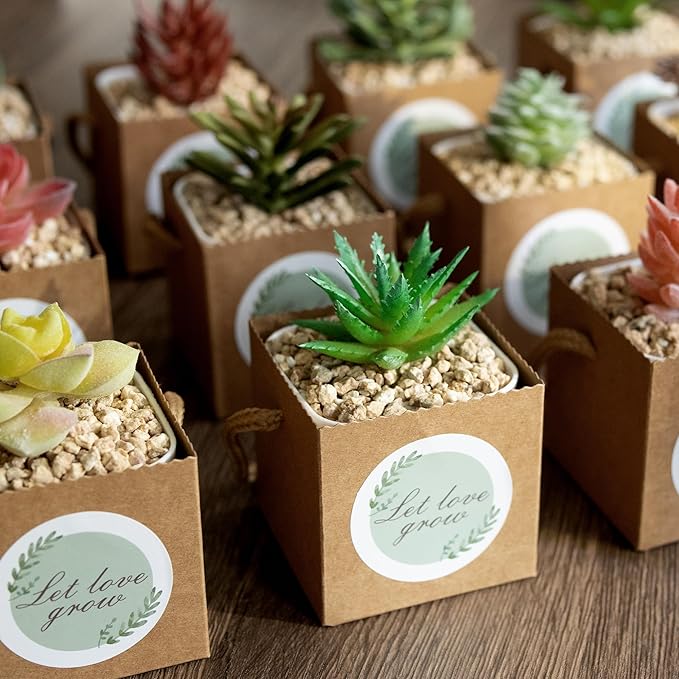 Temlum 2.5 Inch Succulent Wrap Bags (Fits 2.5″ Pots) with Thank You & Let Love Grow Stickers, Small Gift Box for Wedding, Baby Shower, Succulent Party Favors for Guests (Brown 40pcs)