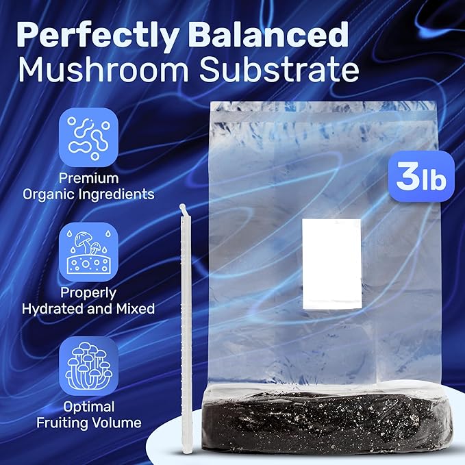 Surfin' Spores Mushroom Grow Kit | 4 lb Grow-in-Bag Kit/Monotub Refill | Includes: 1 lb Sterile Grain Bag with Injection Port & 3 lb Organic CVG Substrate | Spores Not Included (Two Pack)
